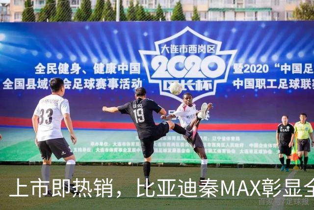 上市即热销，比亚迪秦MAX彰显全能B级车魅力